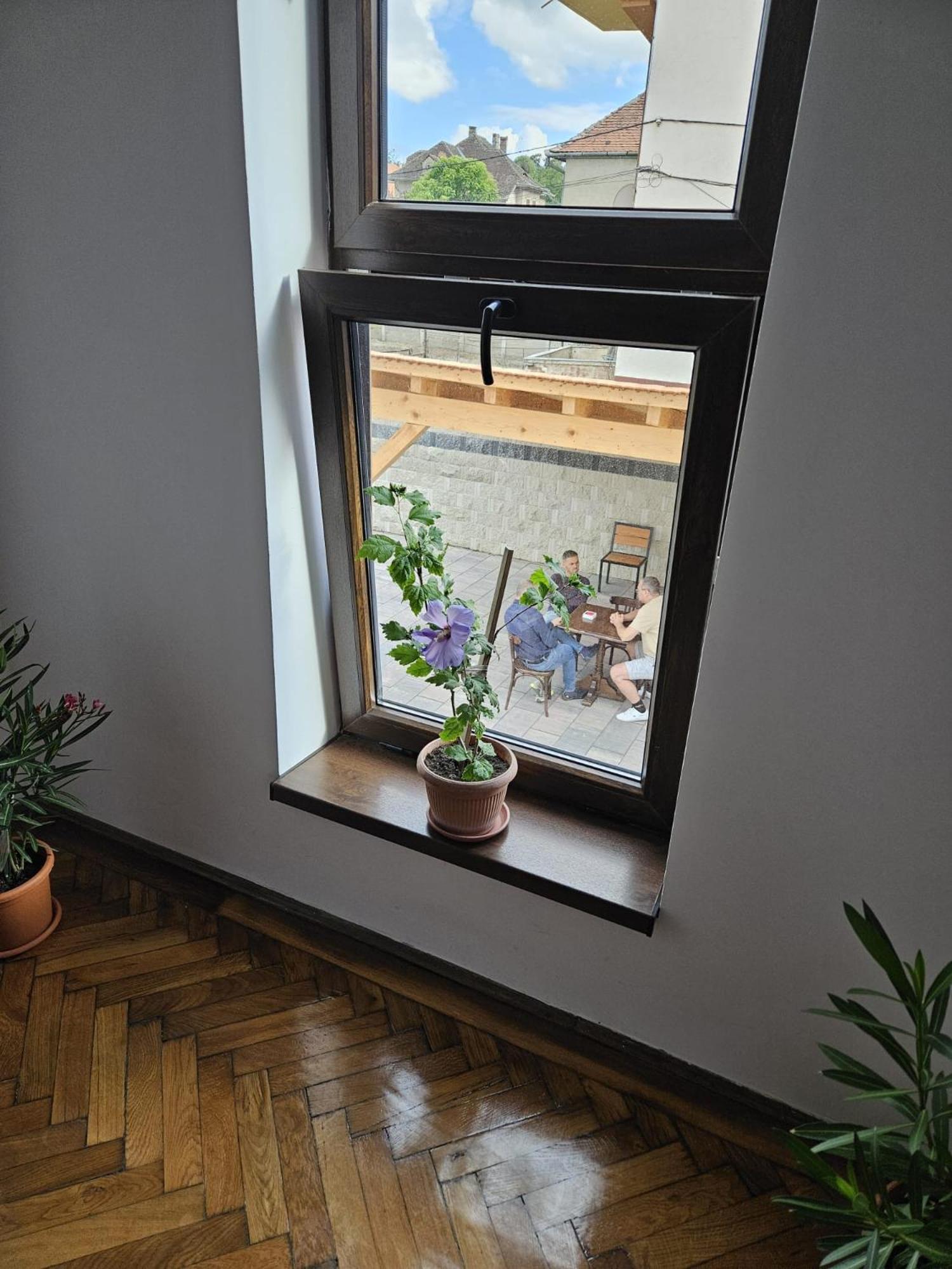 Casa Raduly - Apartament Demisol Сибиу Экстерьер фото